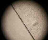 バックライトフィルムとバックプリントフィルムとの比較(拡大)