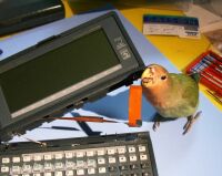 フレキ部を抜く