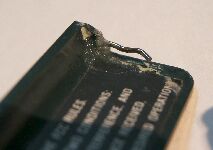 金属製の爪(別の場所)