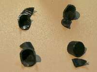 割れたヒンジキャップ