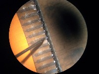 R0024062.jpg 800x600 48,829 Bytes