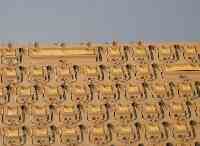 キーボードの銘板シートを剥がさずに補修