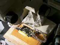 顕微鏡下での基板の保持