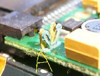 `̊̕gʐ^Bdr󂯂镔łAol̈ꕔHɂ茇Ă܂B