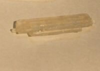 複製後の液晶ラッチ